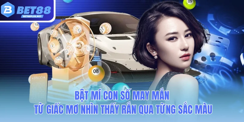 bat mi con so may man tu giac mo nhin thay ran qua tung sac mau