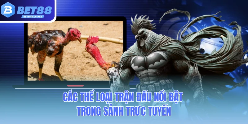 cac the loai tran dau noi bat trong sanh truc tuyen